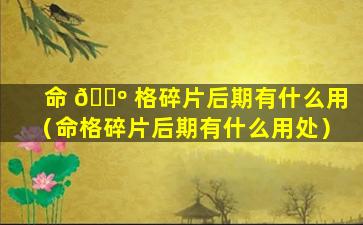 命 🐺 格碎片后期有什么用（命格碎片后期有什么用处）